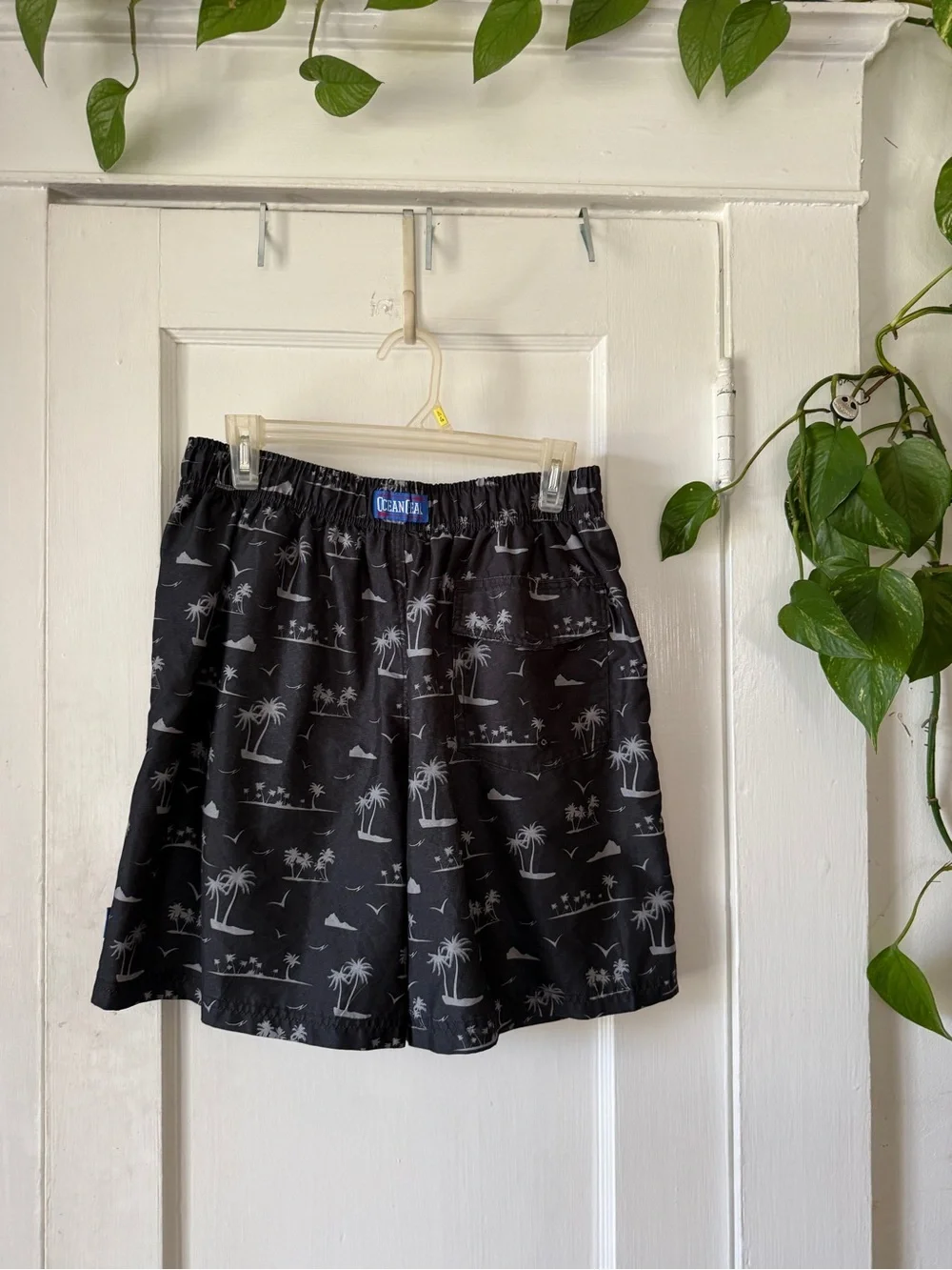 Ocean Gear Coastal Print Elastic Waist Shorts - Black with Gray Palm Pattern